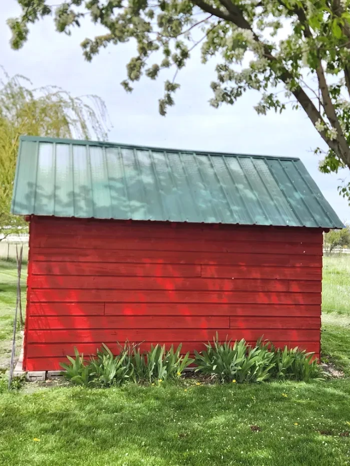 Freshly repainted red shed